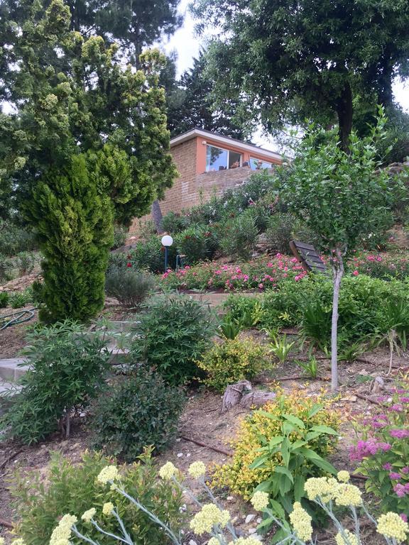 Villa Silvio Civitanova Alta Номер фото